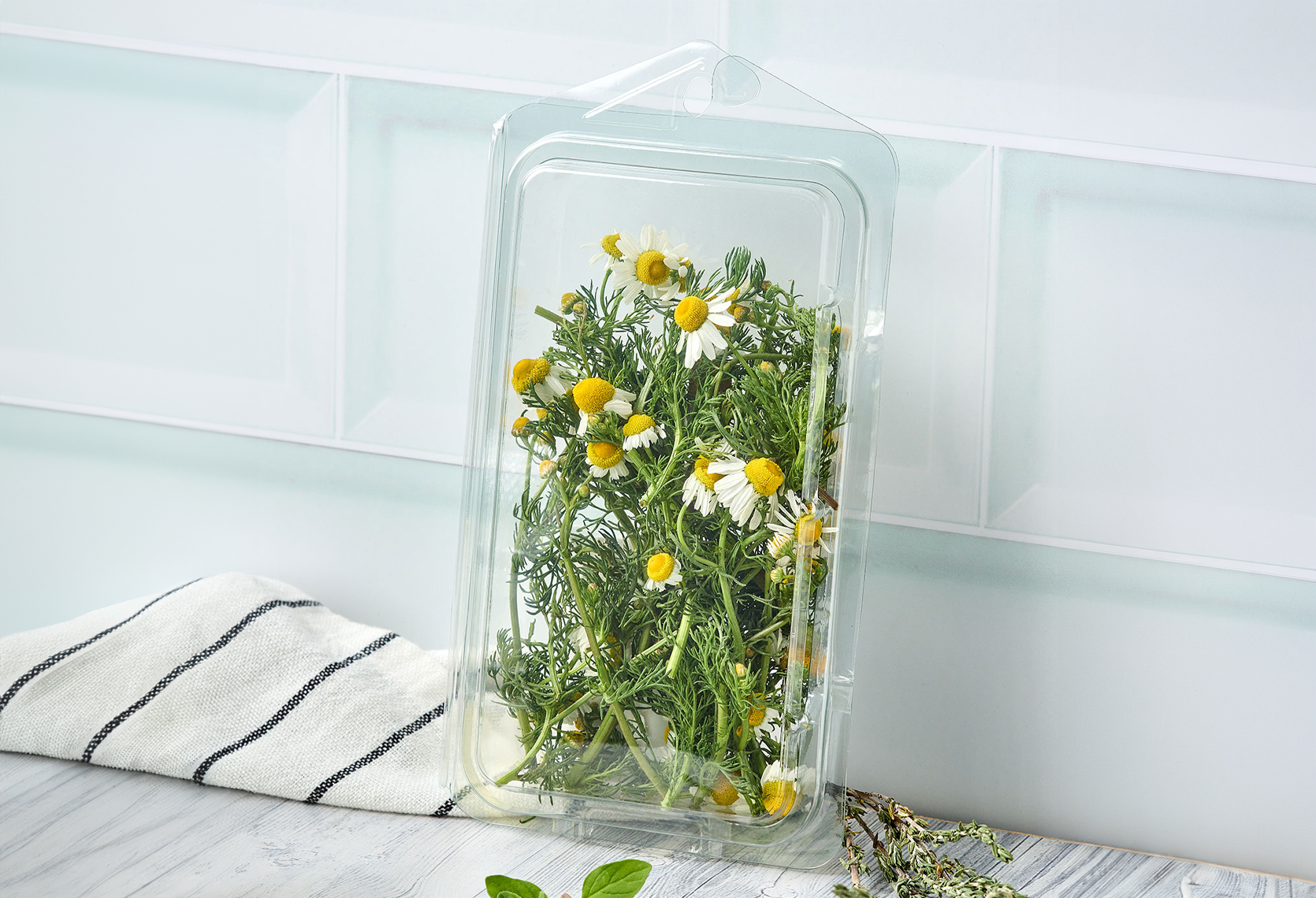 c-aromatica-1oz.jpg Empaque para frutas y hortalizas con sistema de ventilación, ideal para conservar, proteger y exhibir los alimentos frescos por más tiempo.