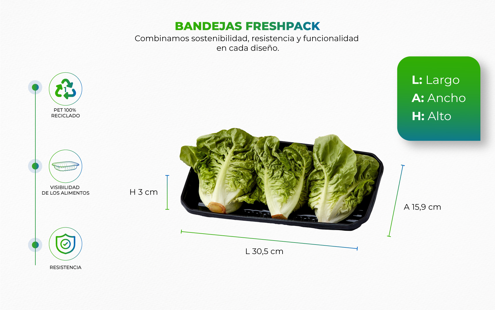 Bandeja con hojas de lechugas encima