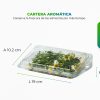 Recipiente plástico con hojas dentro