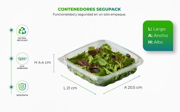Recipiente plástico con ensalada dentro